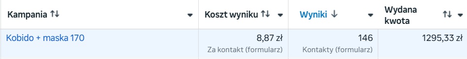 Wyniki kampanii Meta Ads - skuteczne pozyskiwanie klientów na masaż Kobido